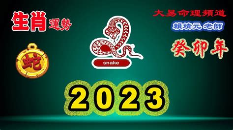 2023生肖蛇|2023年12生肖運勢大全——生肖蛇